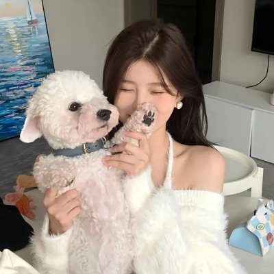 奈何寨主不好当
